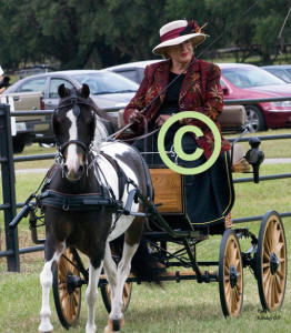 Connie driving "Feather"