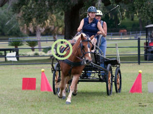 Denise Silva drives thru Cones