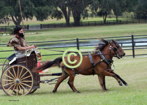 Dick Kearley driving Caspians to a Chariot