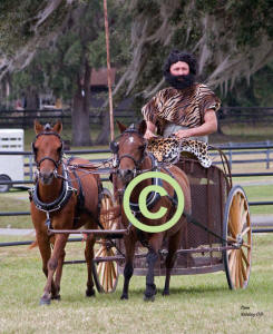 Dick Kearley driving Caspians to Chariot