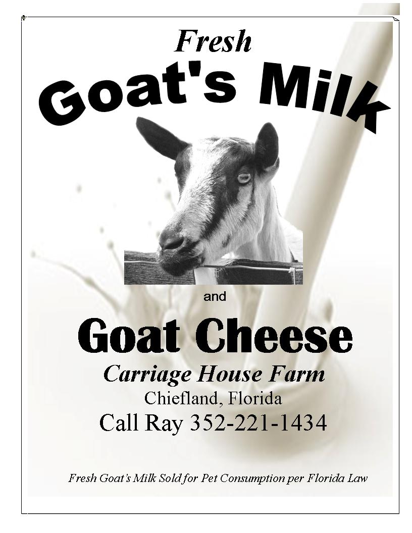 Goats Milk & Cheese For Sale