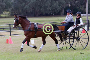 Heather Schneider driving Cones