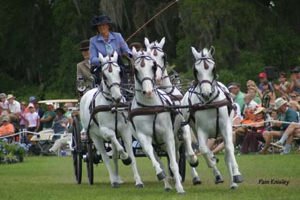 Alison Stroud