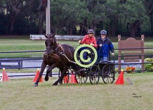Margy Cox drives thru Cones