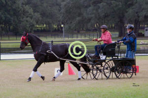 Margy Cox drives thru Cones