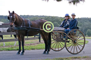 Mary Beth driving "Julip"